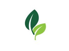 green fact leaf icon 4