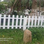 AWood Vật liệu hoàn thiện cho hàng rào và cổng bia